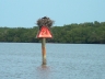 backwater