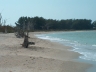Cayo Costa