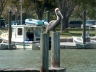 pelican