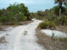 trail