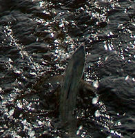 release